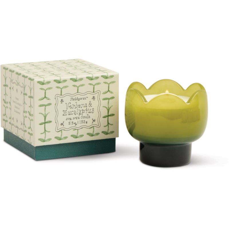 Paddywax Tulip Verbena & Lemongrass vonná svíčka 155 g