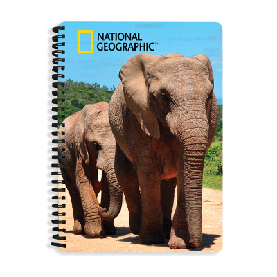 Prime 3D sešit A5 Sloni