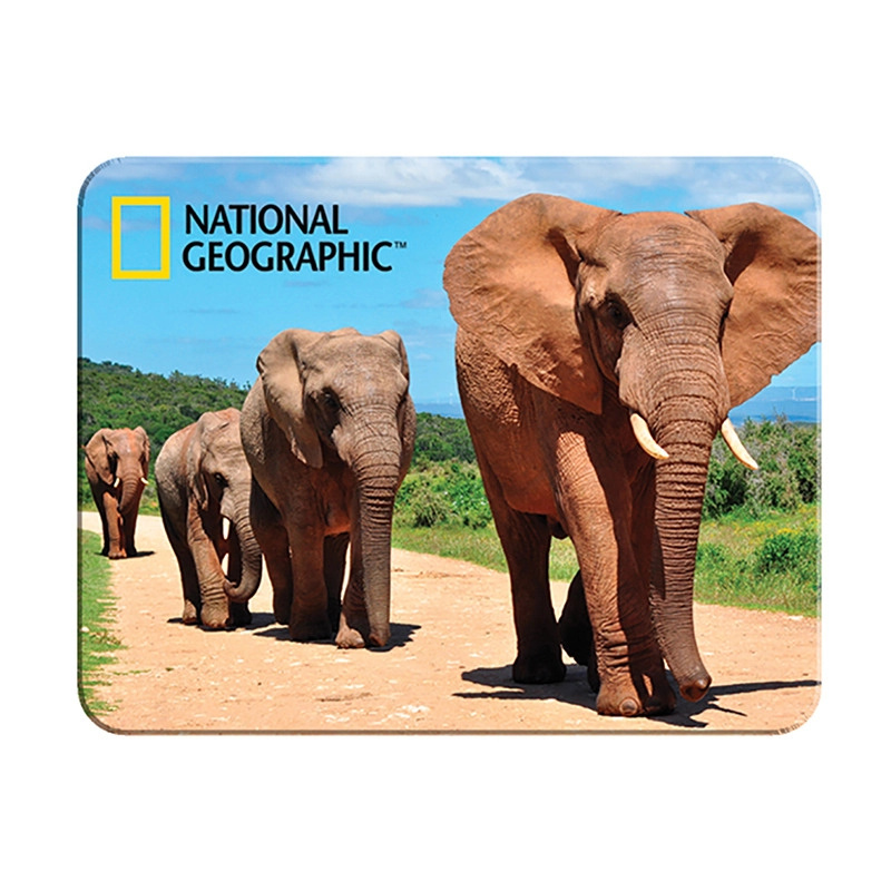 3D magnet Afričtí sloni