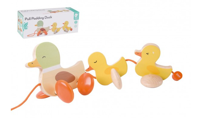 Teddies kachna s kačátky tahací dřevo v krabici