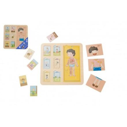 Classic World Educational Board Human Body Stavebnice pro děti Match 19 dílků