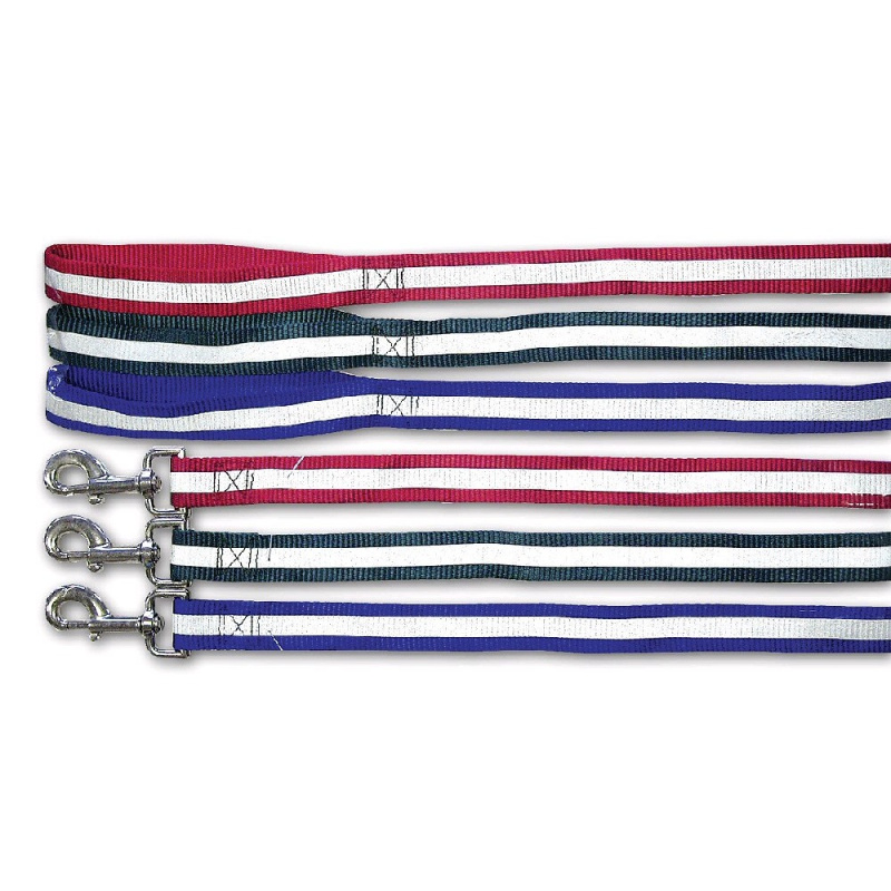 Nylonové reflexní vodítko pro psy City style L, 2,5 x 120cm, různé barvy - vodítka pro psy
