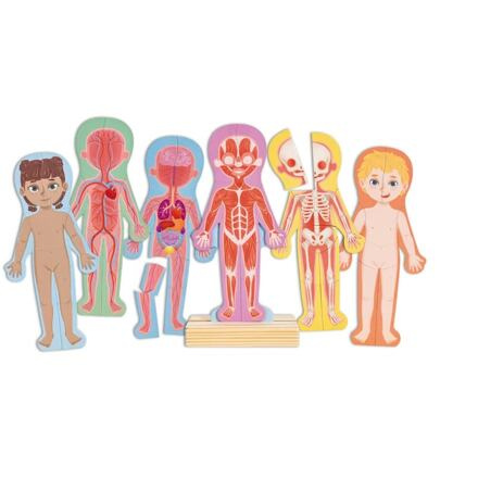 Puzzle magnetické - Lidské tělo (Hape)