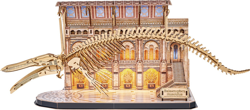 Dřevěné svítící 3D puzzle CubicFun  Natural Museum: Plejtvák obrovský 222 dílků