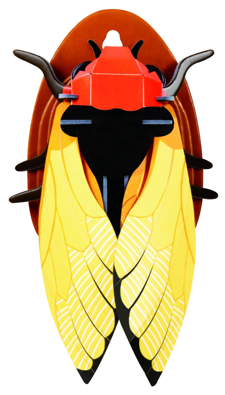 Papírové puzzle Cicada