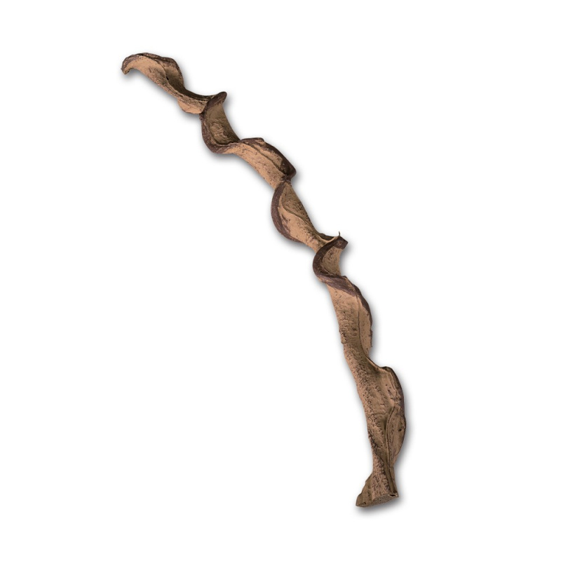 ReptiZoo Dekorativní liána 60cm