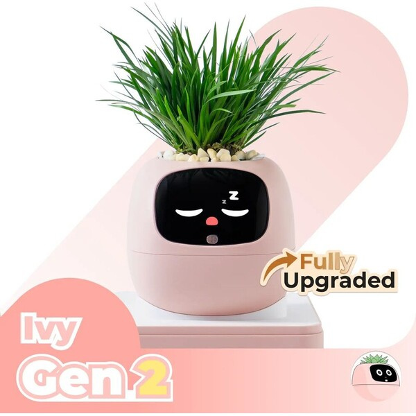 PLANTSIO IVY gen 2 Růžová