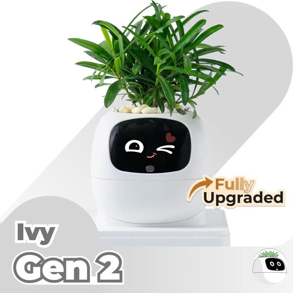 PLANTSIO IVY gen 2 Bílá