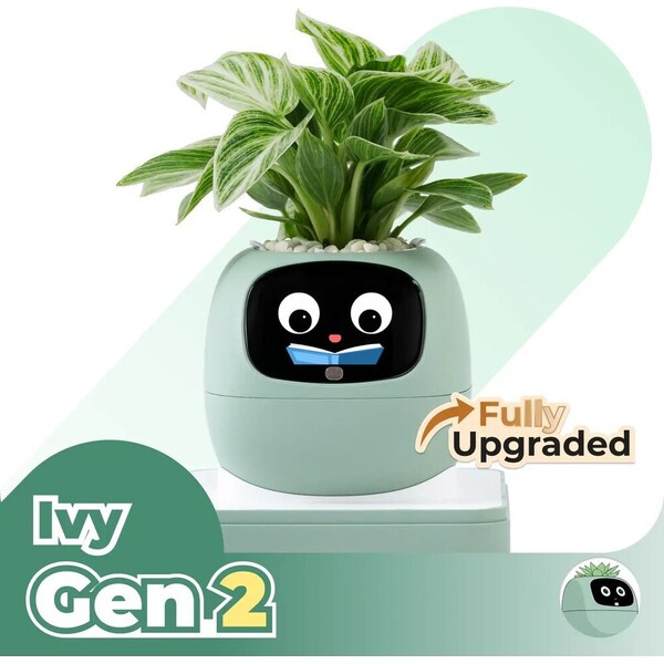 PLANTSIO IVY gen 2 Zelená