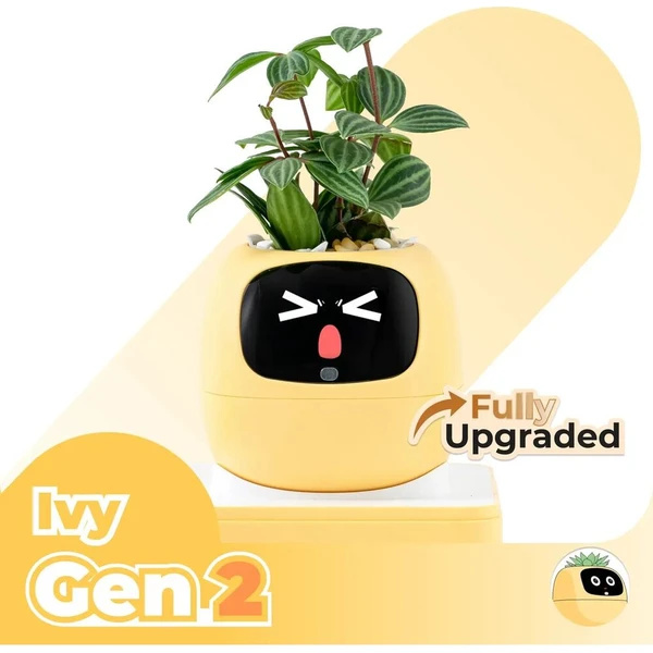 PLANTSIO IVY gen 2 Žlutá