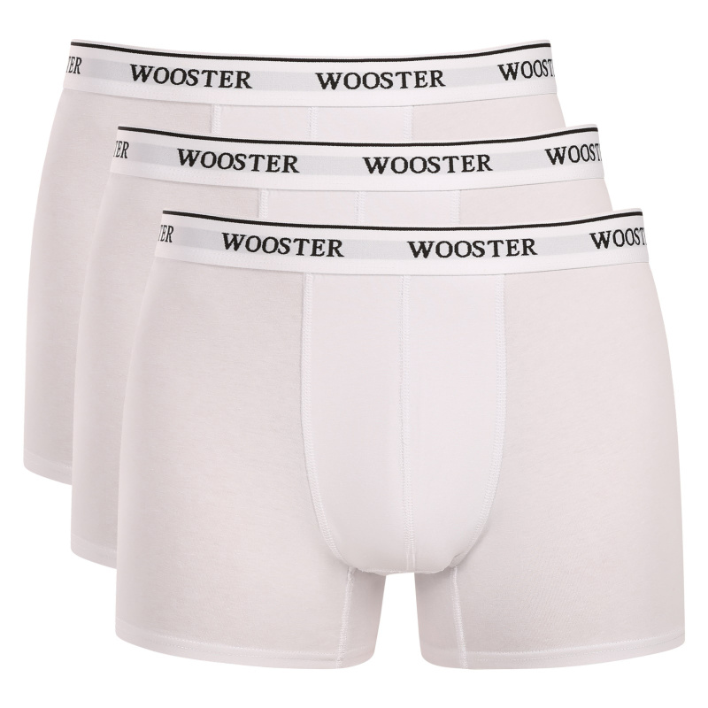 3PACK pánské boxerky Wooster bílé (W-631) XXL, trenky / trenýrky