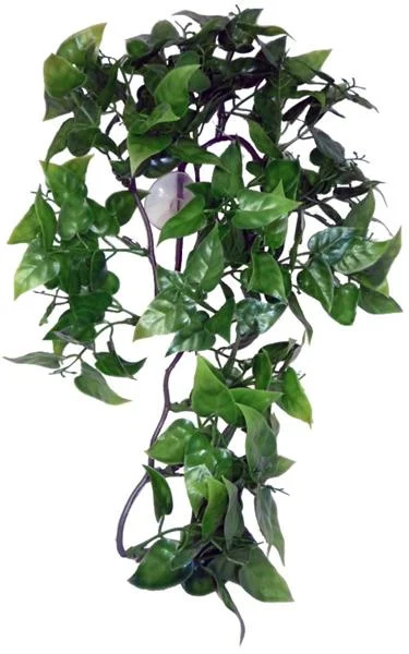Dekorace umělá rostlina - popínavá Philodendron Komodo 30cm 1ks/30cm