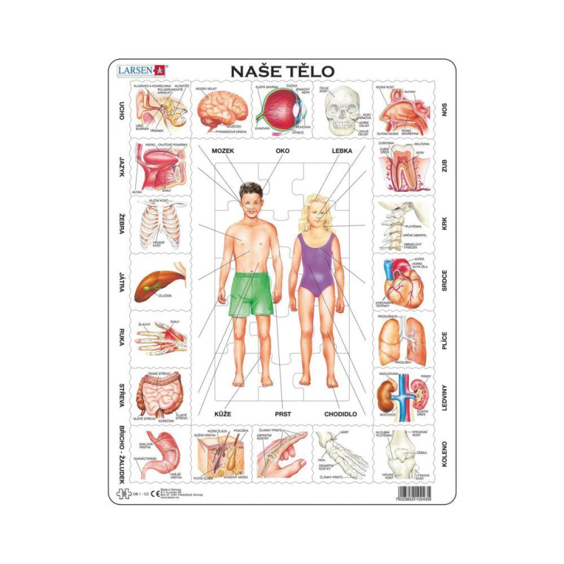 Larsen Vzdělávací puzzle Naše tělo 35 dílků