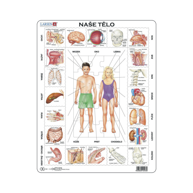 Larsen Vzdělávací puzzle Naše tělo 35 dílků