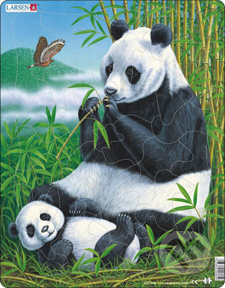 Panda D5 - puzzle z kategorie Naučné puzzle