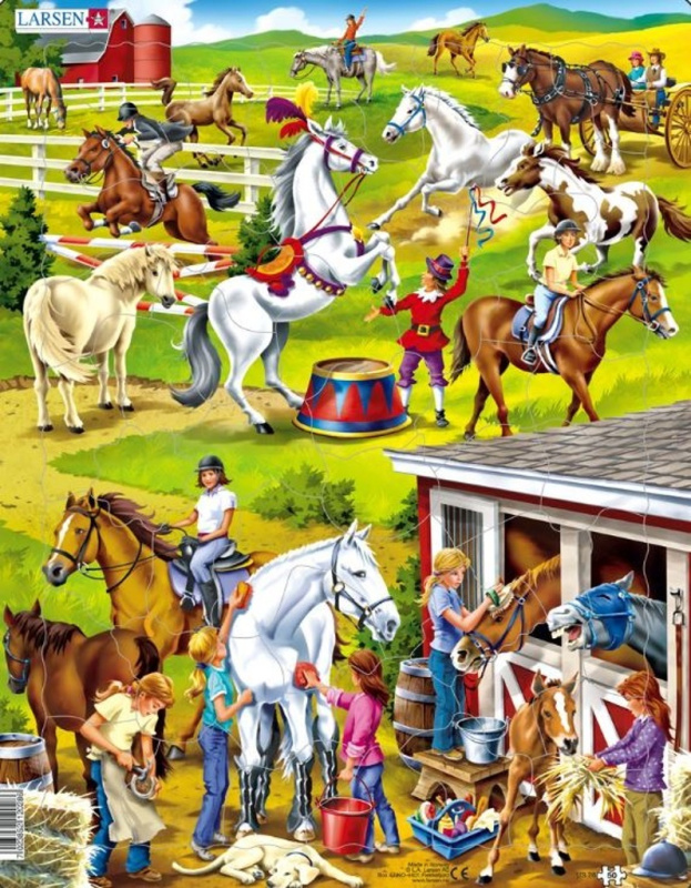 Kone jazdectvo (US26) - puzzle z kategorie Naučné puzzle