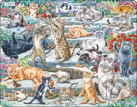 Mačky (FH51) - puzzle z kategorie Naučné puzzle
