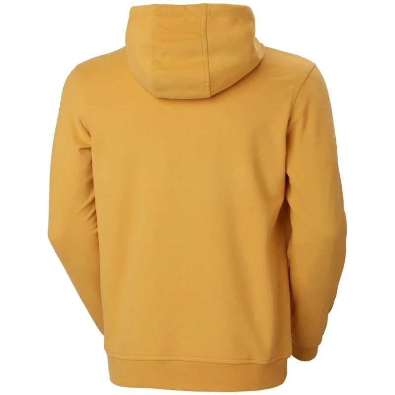 Pánská mikina Helly Hansen Logo Hoodie M 33977-364 L