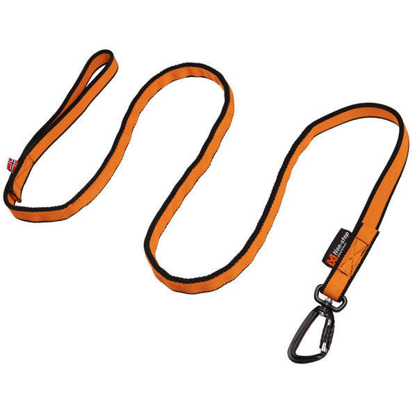 Bungee leash 2,8m