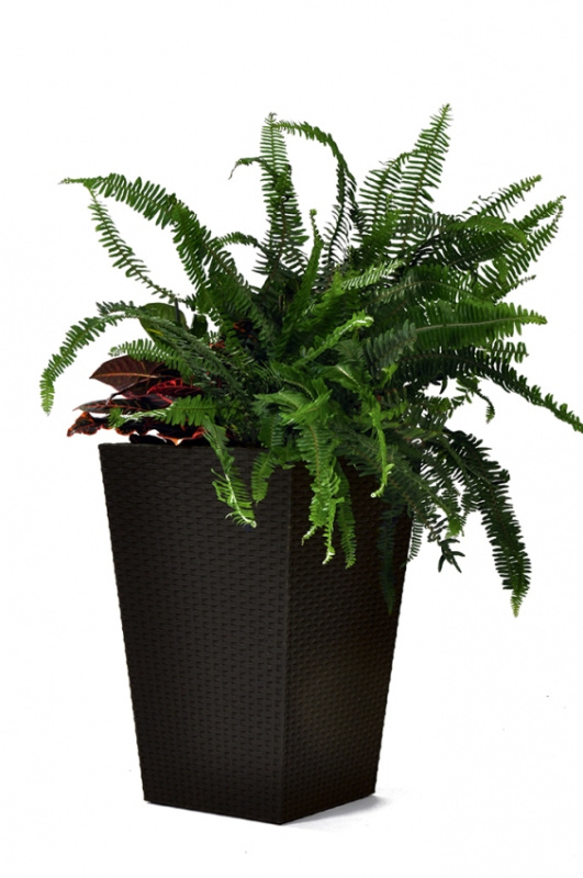 KETER Květináč Rattan Planter M - hnědý