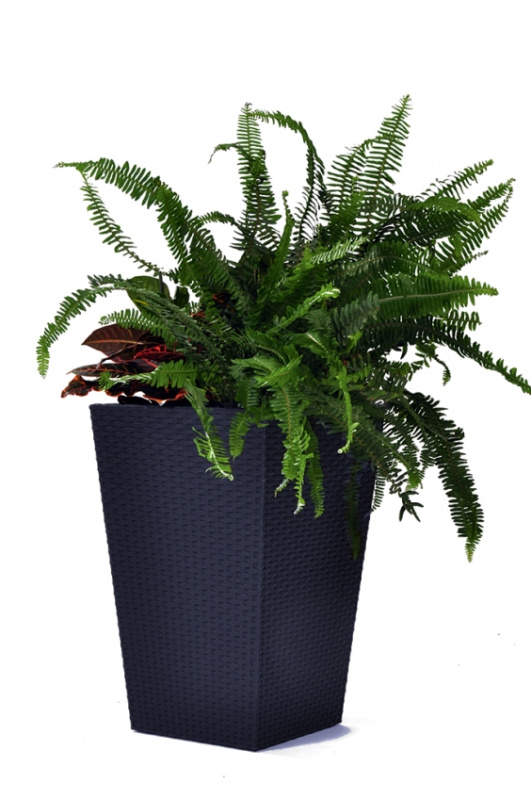 KETER Květináč Rattan Planter M - antracit