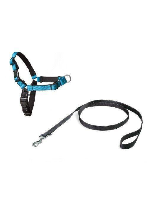 Postroj EasyWalk Deluxe, aqua blue M
