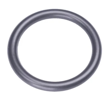 O-RING 16,6X2,4