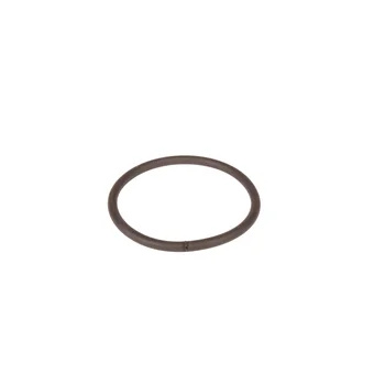 GASKET EPDM cord D5, L221 P005 Motor flange