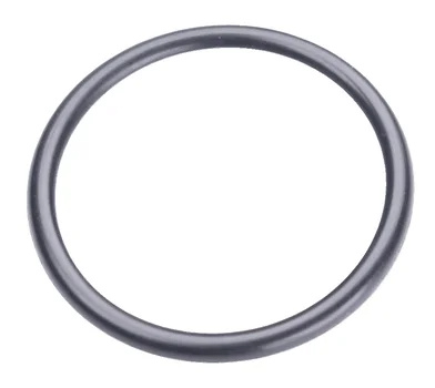 O-Ring 20X2