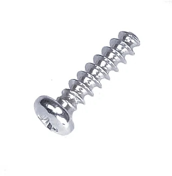 Slotted head screw