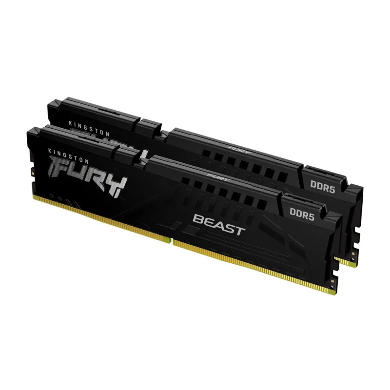 Kingston FURY Beast EXPO DDR5 16GB 5600MHz CL36 2x8GB Černá Černá