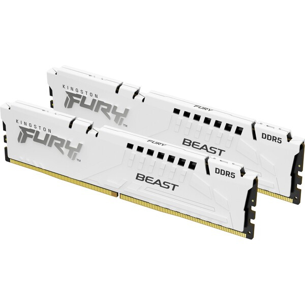 Kingston KF556C36BWEK2-32 Bílá
