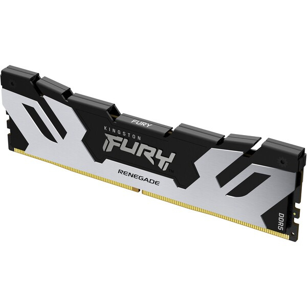 Kingston FURY Renegade Black DDR5 24GB 7200MT/s CL38 DIMM (1x24GB) XMP (KF572C38RS-24) Černá/stříbrná