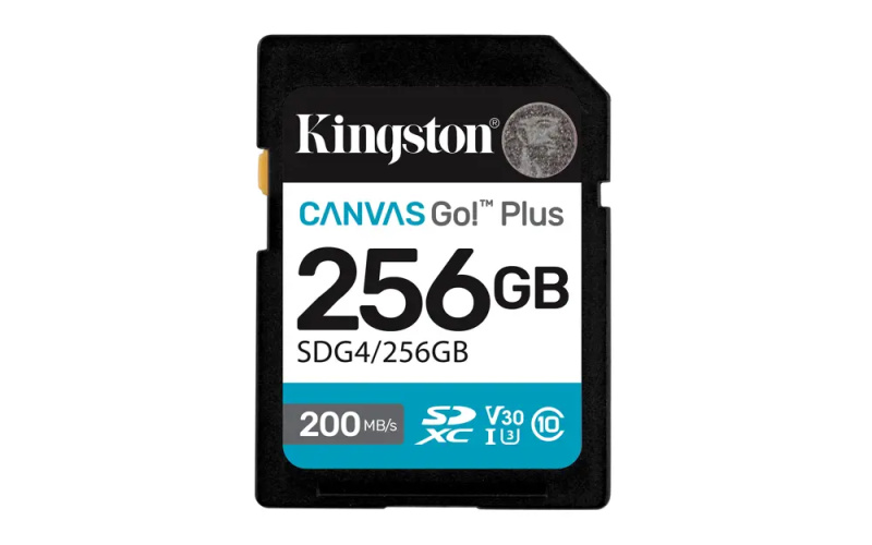 Kingston SDXC Class 10 256GB SDG4/256GB