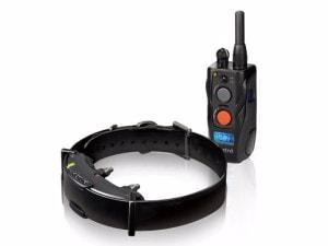 Dogtra ARC 802 pro 2 psy
