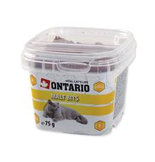 Pochoutka ONTARIO polštářky s malt pastou 75 g