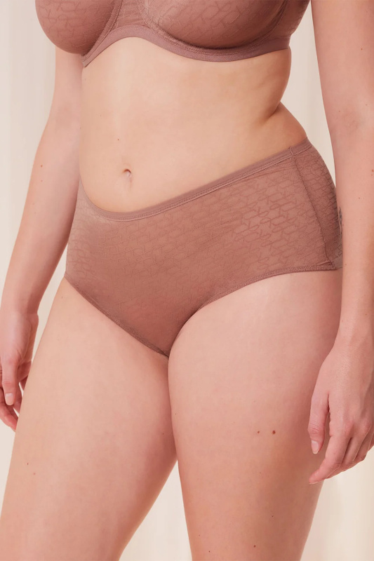 Dámské kalhotky Triumph 10215936 Signature Sheer Maxi EX Barva: Hnědá, Velikost: 42