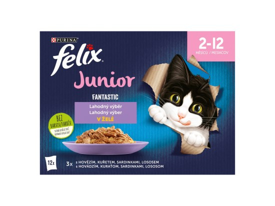 Felix Fantastic Junior Multipack hovězí, kuře, sardinky a losos v želé pro kočky 12×85 g
