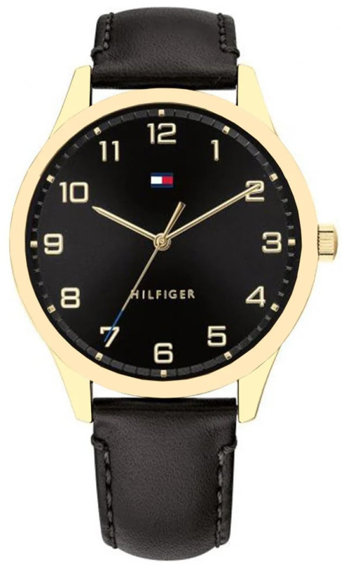 Hodinky TOMMY HILFIGER model 1791660