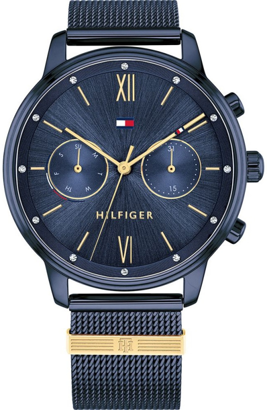 Hodinky TOMMY HILFIGER BLAKE model 1782305