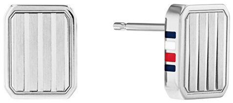 Náušnice TOMMY HILFIGER model 2780693