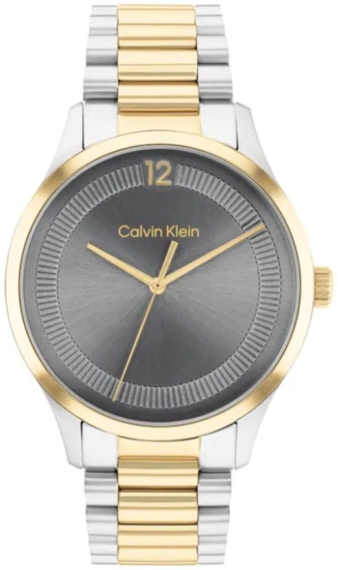 Hodinky CALVIN KLEIN model CK ICONIC 25200226