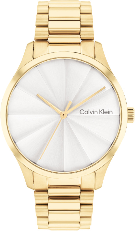 Hodinky CALVIN KLEIN model 25200232