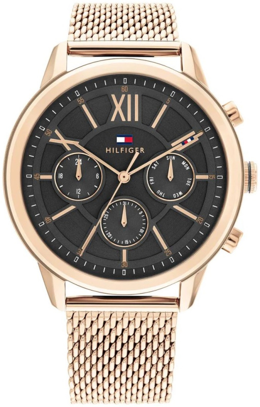 Hodinky TOMMY HILFIGER model 1710525