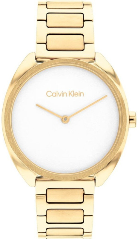 Hodinky CALVIN KLEIN model 25200276