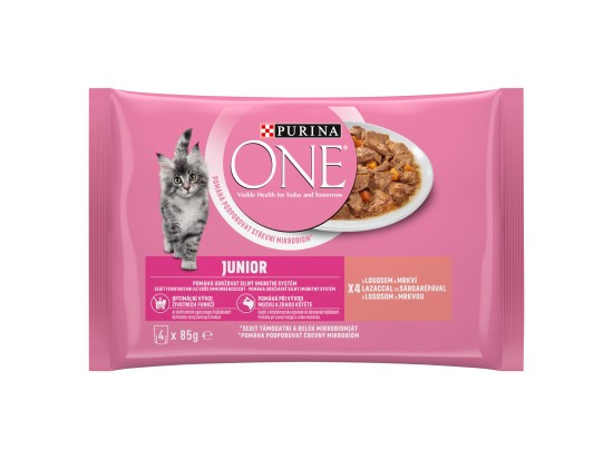 Purina ONE Junior minifiletky s lososem a mrkví ve šťávě pro kočky