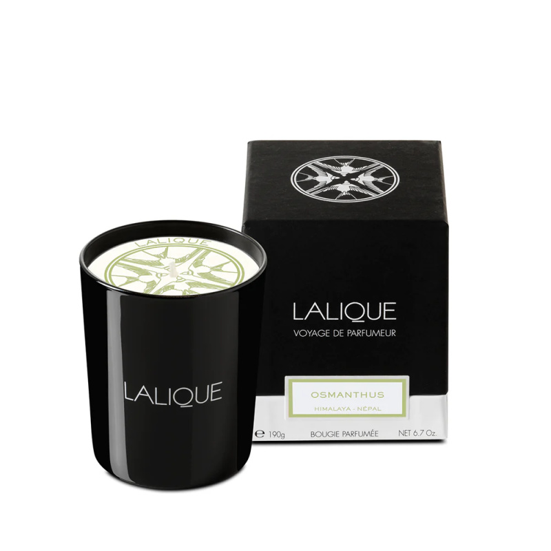 Lalique Vonná svíčka Osmanthus – Himalaya, 190 g B15181