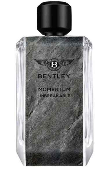 Bentley Momentum Unbreakable parfémovaná voda pro muže 100 ml