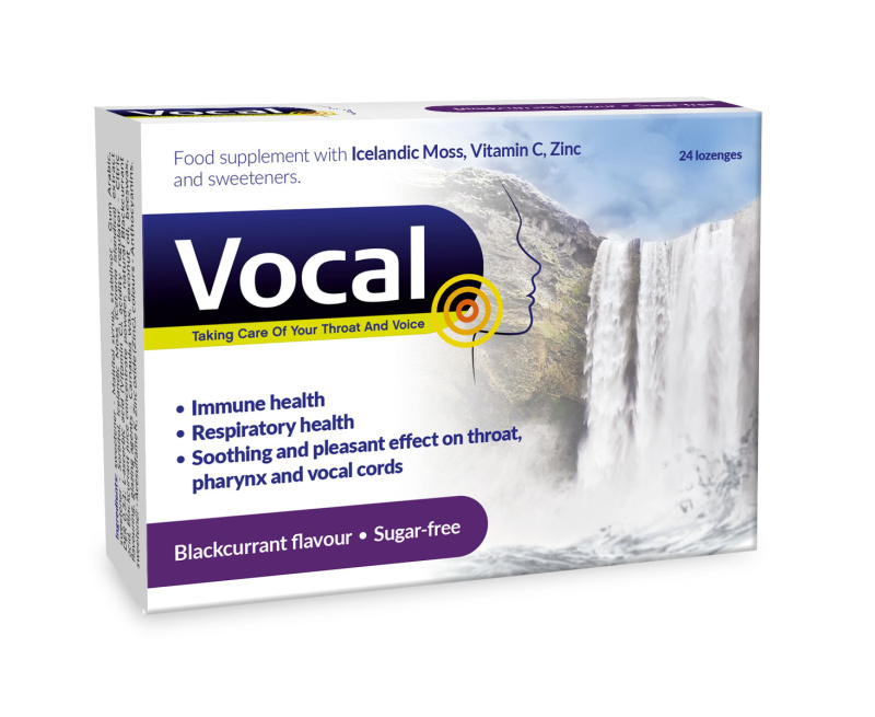 VOCAL HA pastilky bez cukru s příchutí černý rybíz 24 ks