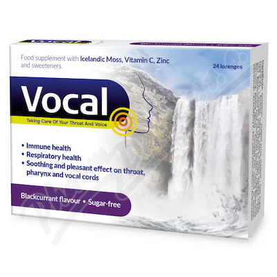 VOCAL HA pastilky bez cukru s příchutí černý rybíz 24 ks